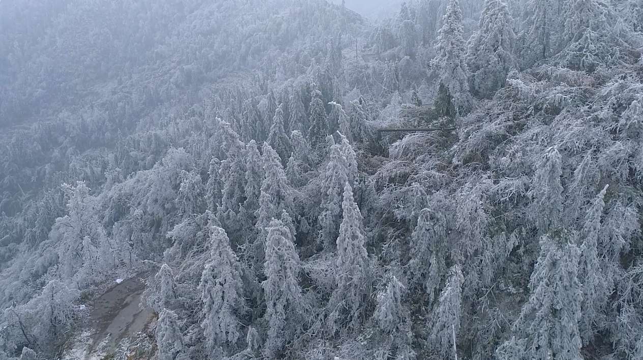 山村冰灾雪灾损坏电力设施电力工人抢修电路